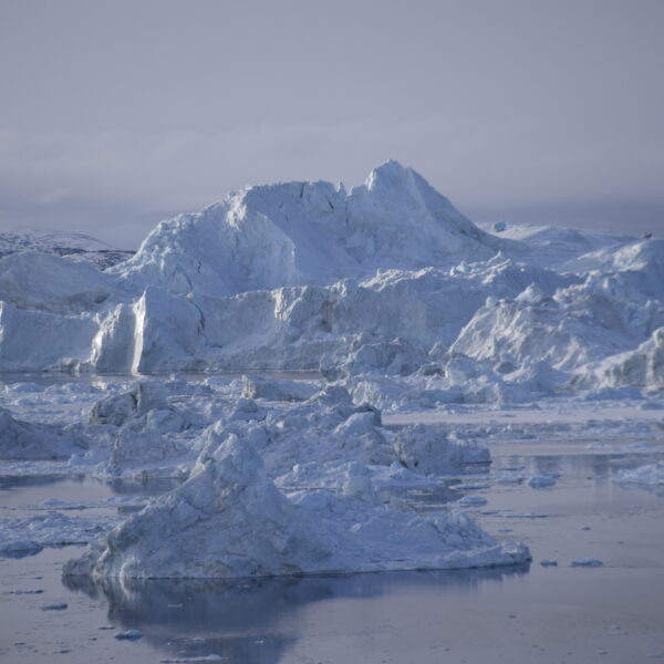 Sono stato ad ilulissat
